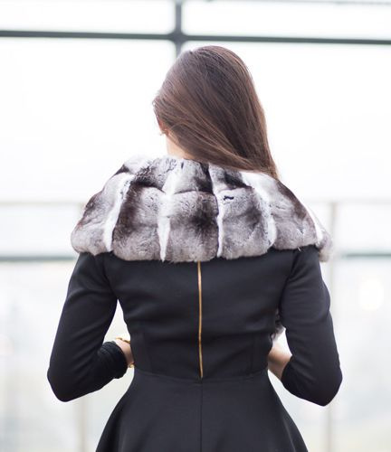 Kołnierz z szynszyli